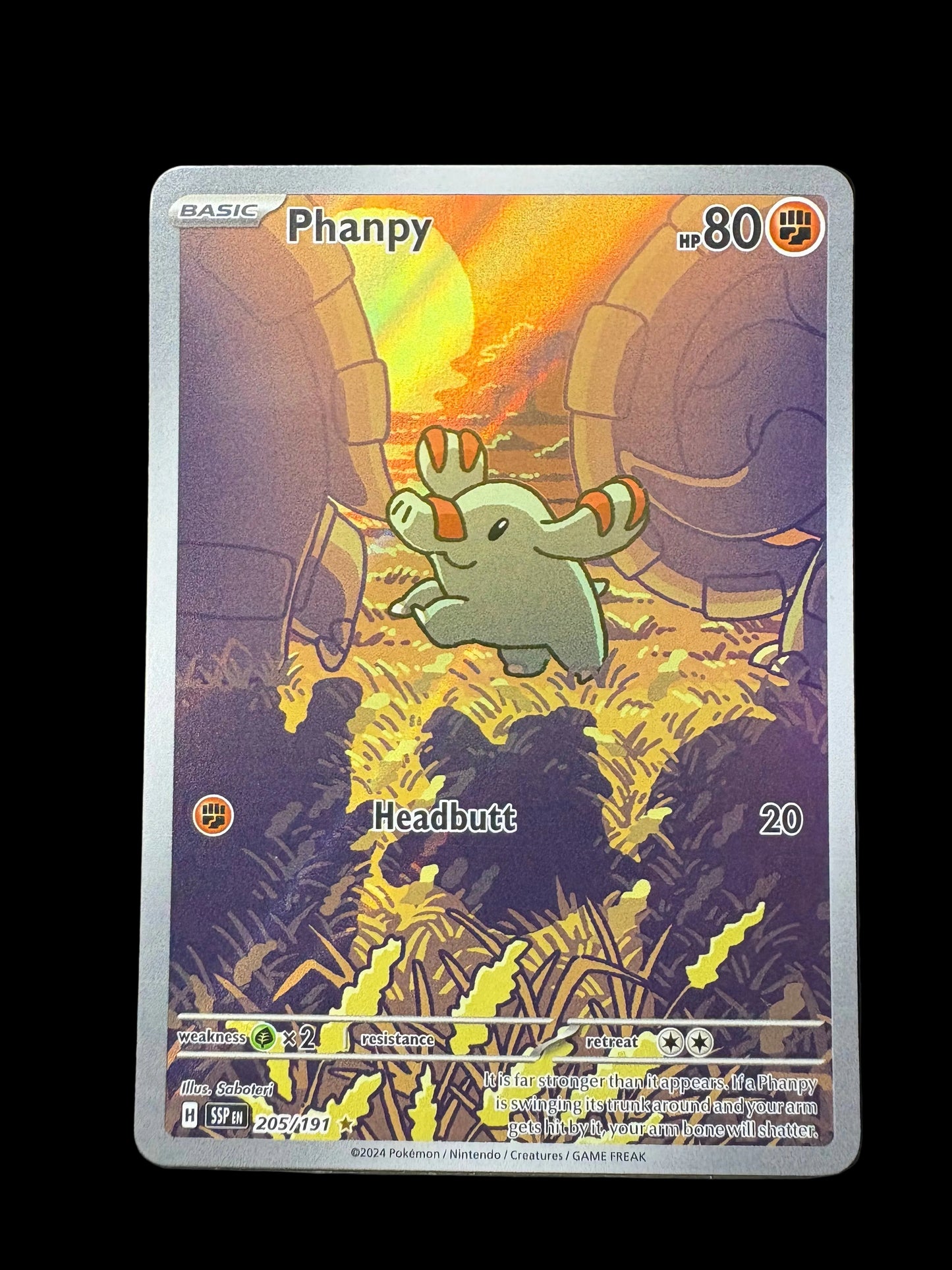 Phanpy #205 Illustration Rare