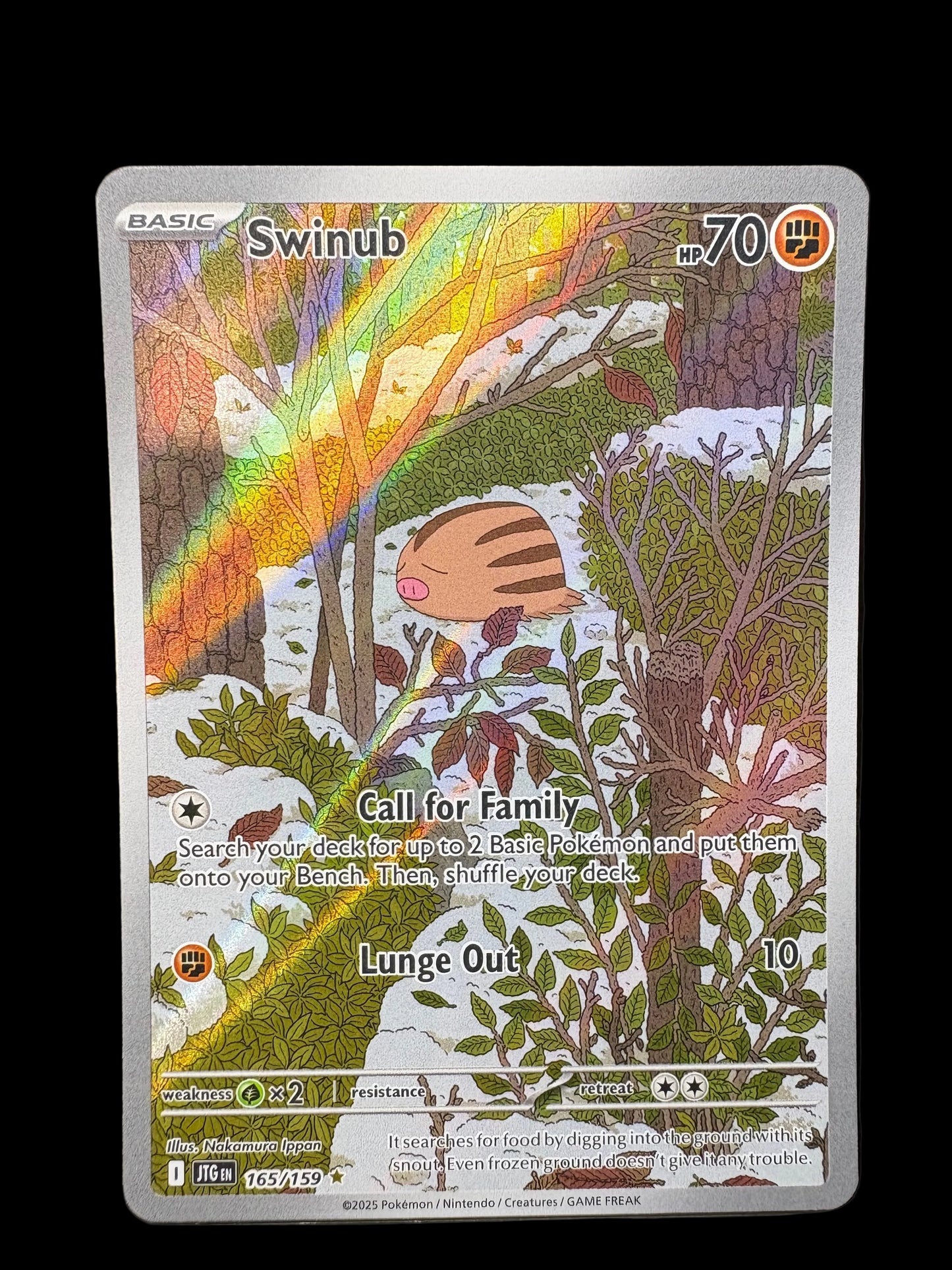 Swinub #165 Illustration Rare